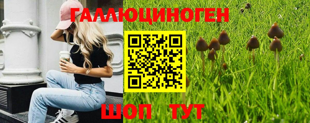 Галлюциногенные грибы мицелий  Вход с VPN  Петрозаводск  Псилоцибиновые грибы ЛСД 